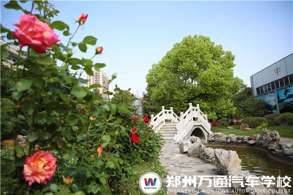 職業(yè)院校大PK，這些要點(diǎn)你都知道嗎？