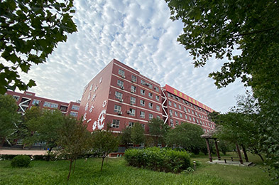 綠草蔥蔥，生機(jī)盎然